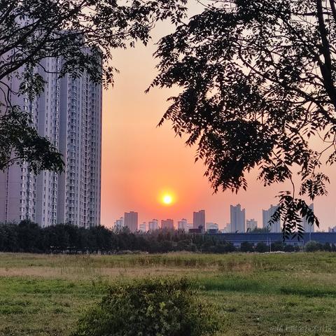 Pluto_云落于2022-10-06 23:08发布的图片