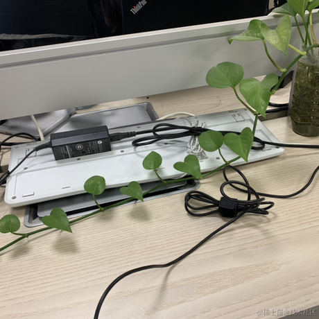 东方不bug于2021-02-05 15:59发布的图片