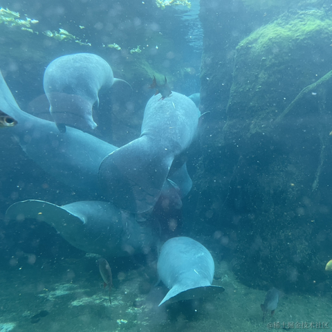 我是个靓崽于2023-04-22 23:43发布的图片