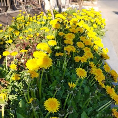 大蒜头只哦吼于2022-03-28 16:16发布的图片