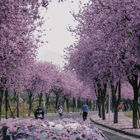 秋秋11于2023-04-28 10:34发布的图片