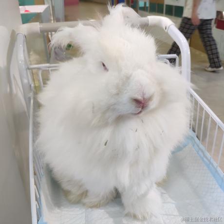 煎饼然子于2022-11-16 09:19发布的图片