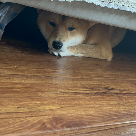 丢你去喂鱼于2022-12-02 18:02发布的图片