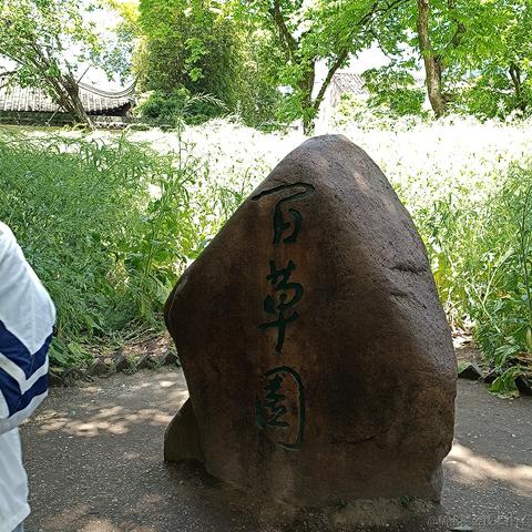 甜呓于2023-05-01 23:27发布的图片