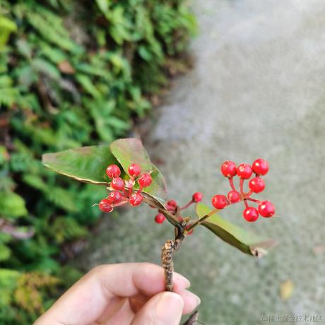 一凯恩一于2022-11-15 08:54发布的图片