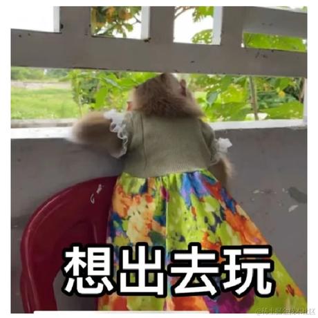 我的脸你已经看腻了于2024-04-25 11:08发布的图片