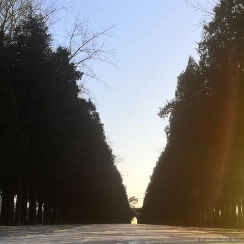 web前端小学僧于2020-09-30 11:08发布的图片