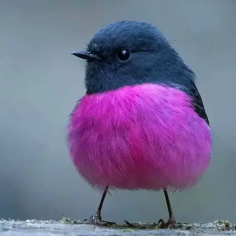 John_Lucas于2022-01-24 11:07发布的图片