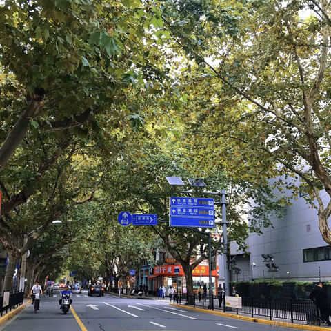 pp同学于2020-10-08 12:33发布的图片