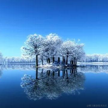 兴科Sinco于2023-03-09 06:57发布的图片