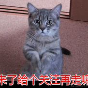 我是猪于2023-08-11 19:53发布的图片