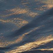 打工人打工人的个人资料头像