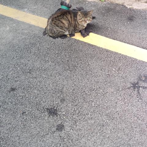 采撷红豆寄思浓于2022-12-15 16:08发布的图片