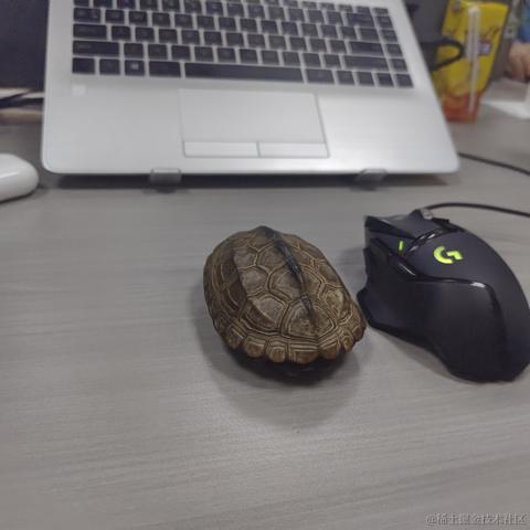 哈莉云于2023-09-14 16:42发布的图片