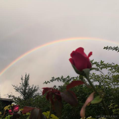 大瑞于2020-09-03 18:27发布的图片