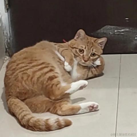 jayjay于2022-03-18 14:03发布的图片