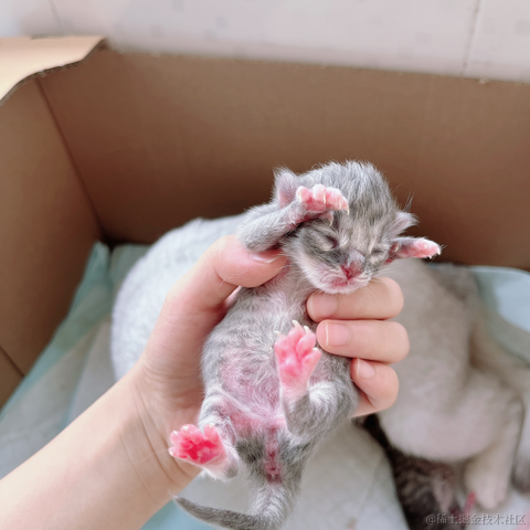 _wow于2023-07-21 10:27发布的图片