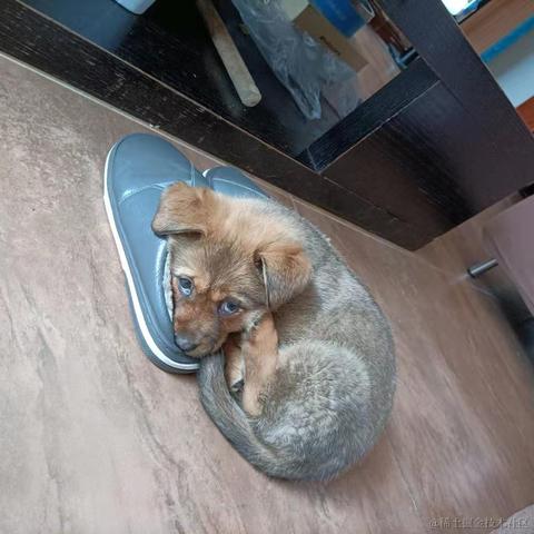 树洞robot于2021-02-25 17:42发布的图片