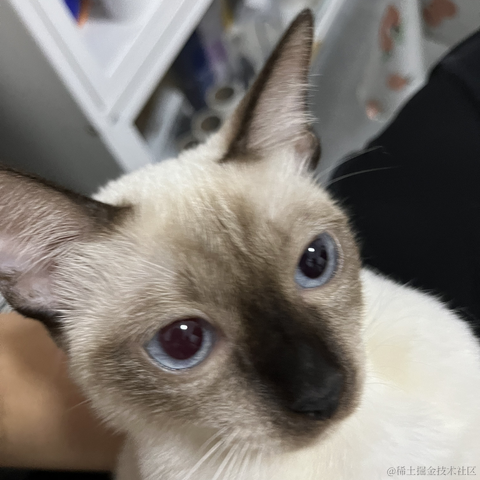 近战仙师于2022-09-20 10:49发布的图片