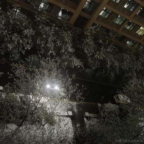 用户5440068287407于2023-04-21 23:31发布的图片