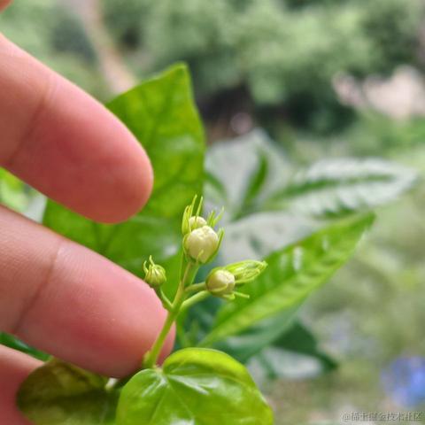 呀呀呀呀于2024-07-04 13:27发布的图片
