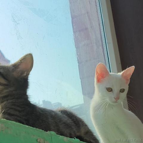 知_足于2023-10-20 15:49发布的图片