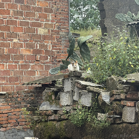 阿白49于2023-10-01 15:39发布的图片