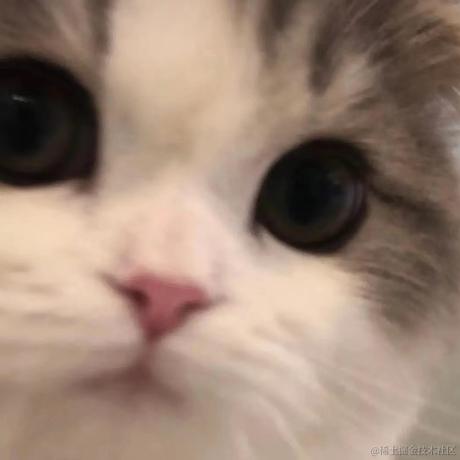 金鹧鸪于2022-09-20 16:00发布的图片