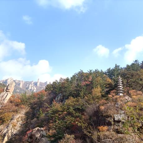 十一次方于2022-11-28 09:11发布的图片