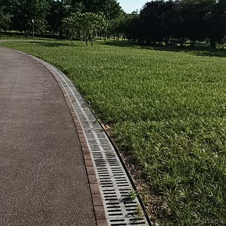 耶耶耶耶cc于2023-07-08 09:54发布的图片