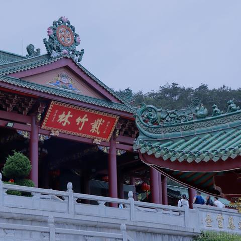 折花赠汝于2023-05-04 17:07发布的图片