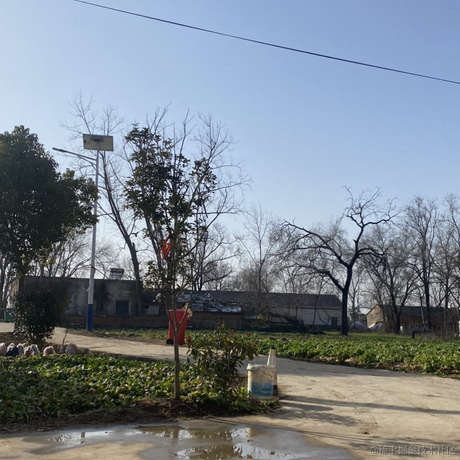 炉火糖粥60于2023-01-19 10:00发布的图片