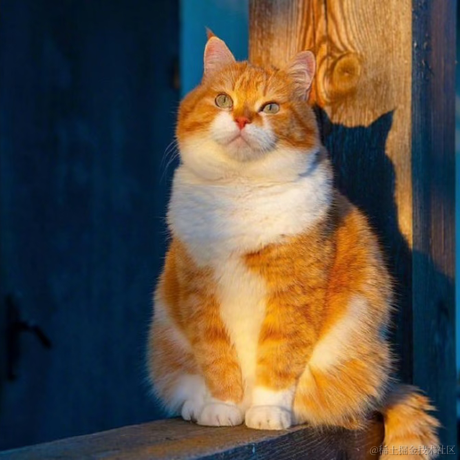 孟西洲于2021-07-16 16:09发布的图片