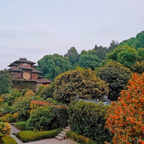 啊哈啊哈哇于2023-06-13 22:18发布的图片