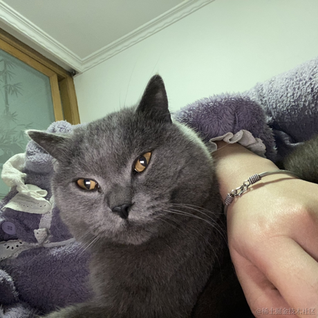 钮钴禄仙贝于2022-12-14 22:13发布的图片