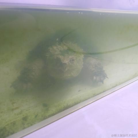 可爱小草莓于2022-11-15 22:49发布的图片