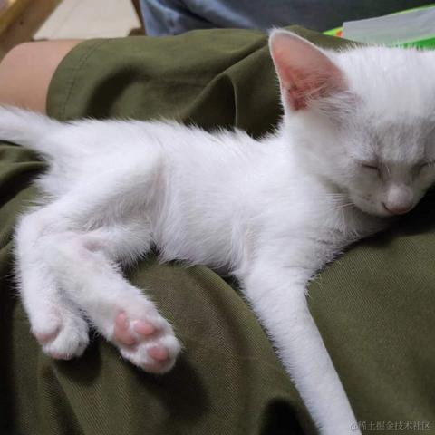 知_足于2023-10-20 15:49发布的图片