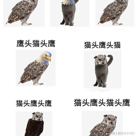 码界西柚于2024-05-03 00:10发布的图片