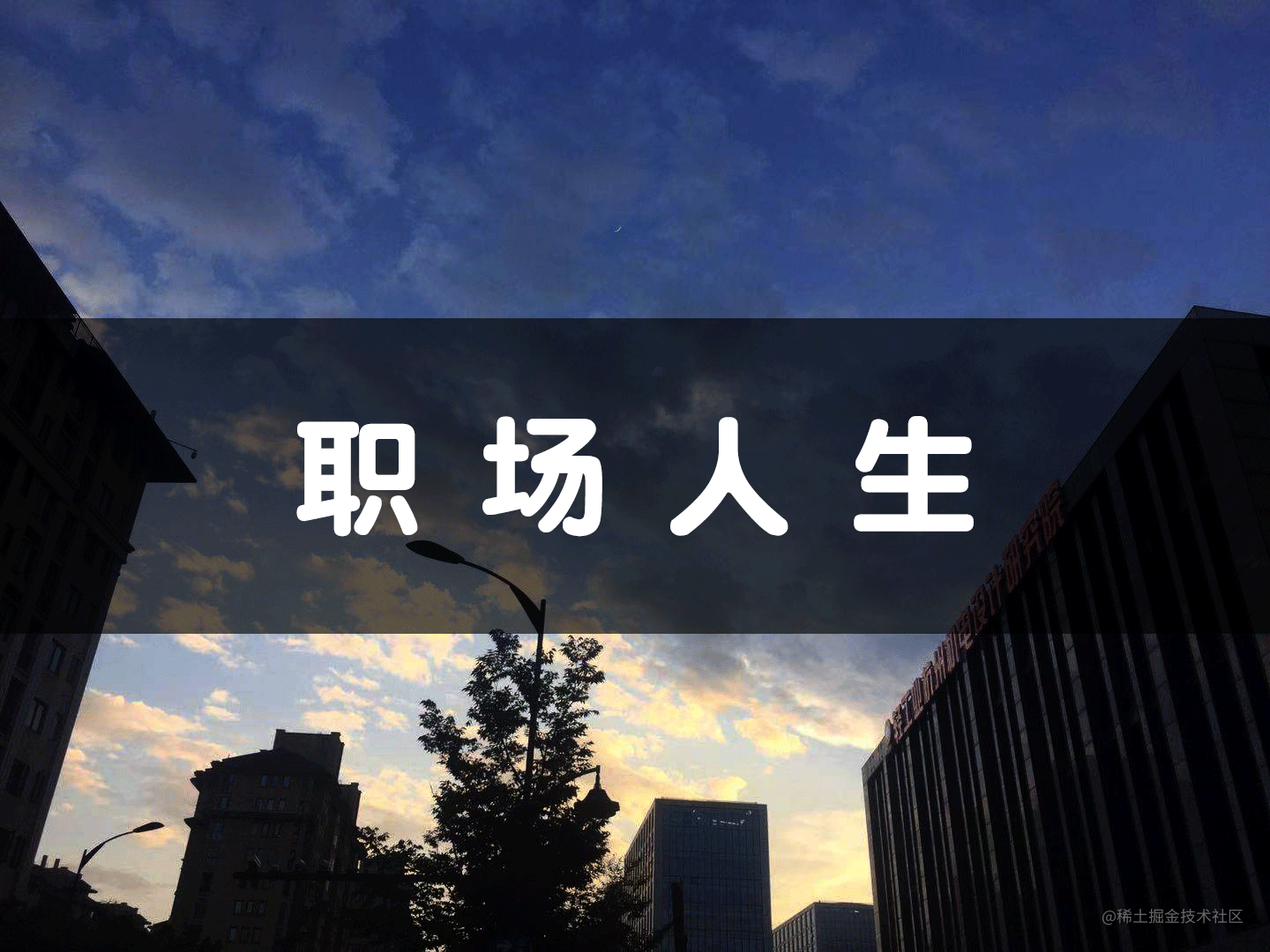 职场人生