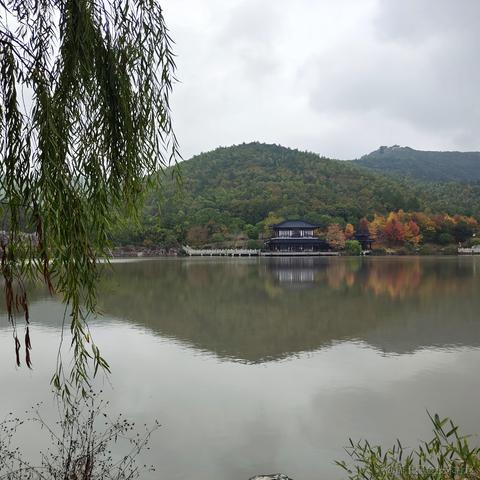 2号嘉心糖于2022-11-11 14:48发布的图片