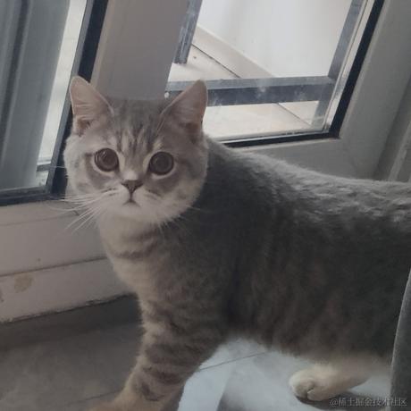 First于2023-05-24 07:23发布的图片