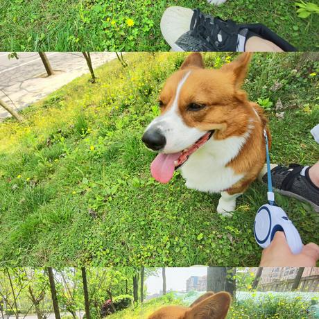 牛肉烧板黎于2022-05-18 11:51发布的图片