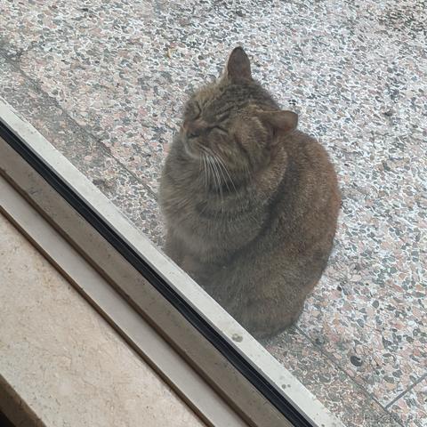 Diana嘉然于2022-11-21 09:22发布的图片