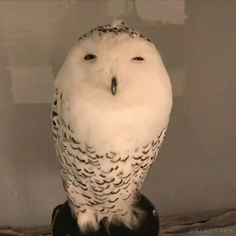 仲冬于2023-06-26 23:45发布的图片