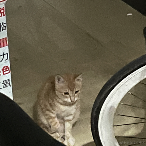 紫菜捏于2022-11-28 10:24发布的图片