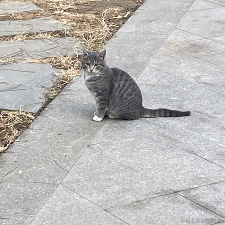 海猫与海豹于2022-11-26 18:54发布的图片