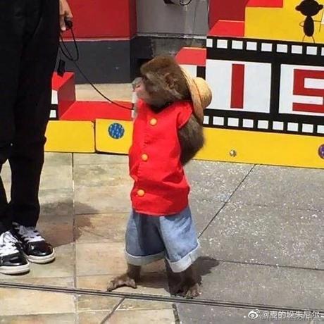 新世纪玉玉战士于2022-12-17 08:39发布的图片