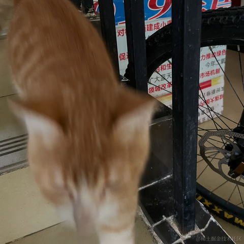 紫菜捏于2022-11-29 11:10发布的图片