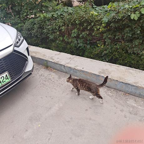 关注乃琳谢谢尬于2023-07-04 08:11发布的图片