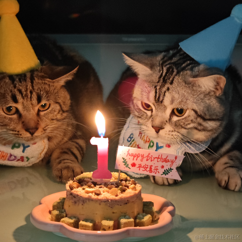 一颗小肉丸儿于2023-04-29 10:19发布的图片